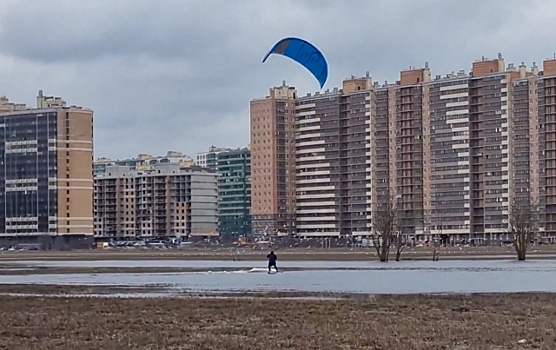 Муринское море: пользователей соцсетей удивил серфинг на совхозном поле