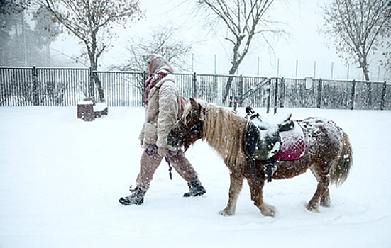 "Желтый" уровень погодной опасности ввели в Москве