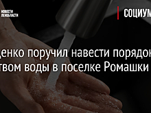 Дрозденко поручил навести порядок с качеством воды в поселке Ромашки