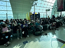 В АТОР назвали плохой организацию помощи россиянам, застрявшим в Дубае