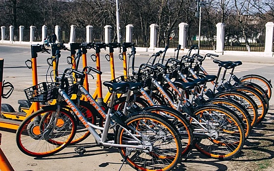 В Рязани любитель алкоголя и велосипедов обворовал коллег по хобби