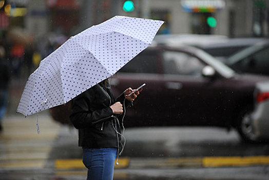 Дожди и до 12 градусов тепла ожидается в Московском регионе во второй половине недели