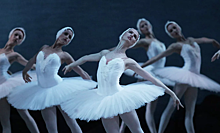 В Португалии «Лебединое озеро» назвали украинским балетом