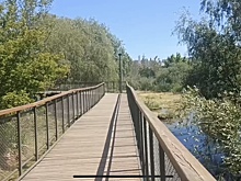 На водной глади около тропы здоровья в Оренбурге появились кувшинки