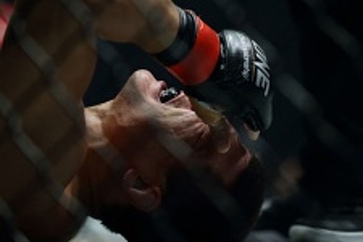 Экс-чемпион UFC: Бейдер – убийца, он достойно представляет Америку