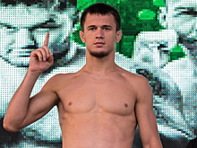 Bellator пополняет ряды — среди новичков Нурмагомедов, Хабилов и другие