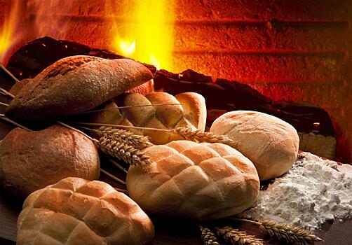 Хлеб с добавкой из мух испекли по технологии компании «Биолаборатория» в «Сколково»