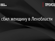 Поезд сбил женщину в Ленобласти