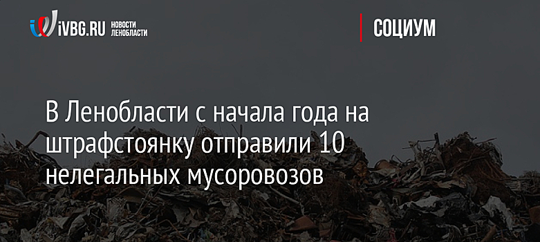В Ленобласти с начала года на штрафстоянку отправили 10 нелегальных мусоровозов