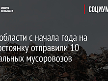 В Ленобласти с начала года на штрафстоянку отправили 10 нелегальных мусоровозов