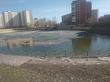 Пруд «Девичьи слезы» в Челябинске – действительно слезы
