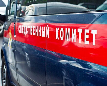 Следователи проверяют сотрудников Росгвардии из-за жесткого задержания подростка в Красноярске