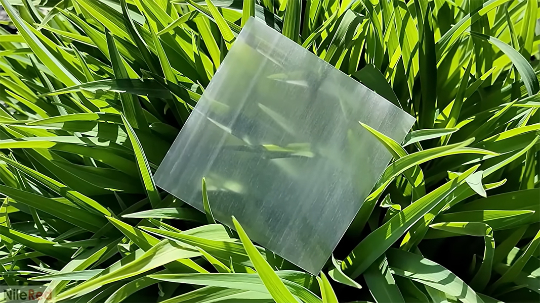 Почему учёные сделали дерево прозрачным?