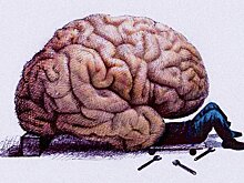 Физики приблизились к полной симуляции мозга