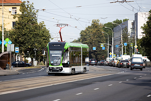 Рольбинов заявил в Госдуме, что Калининграду нужно 18 миллиардов на развитие сети троллейбусов и трамваев