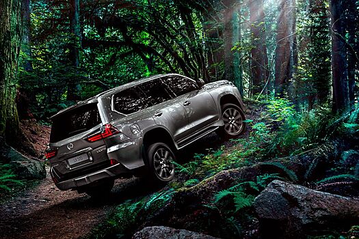 Ирбитскому молокозаводу потребовался Lexus LX570 за 7 млн рублей