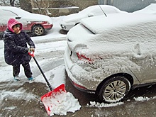 Врач Шишкин оценил пользу уборки снега для организма