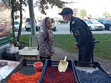 Торговцы-нелегалы с площади Калинина стали использовать детский труд