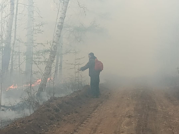 В Забайкалье за последние сутки ликвидировали один лесной пожар