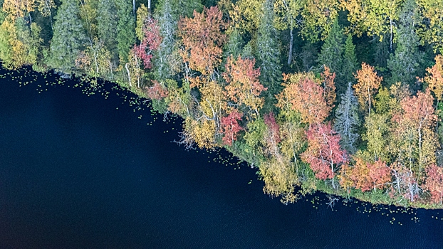 На Соловках впервые создадут научно-популярный турмаршрут