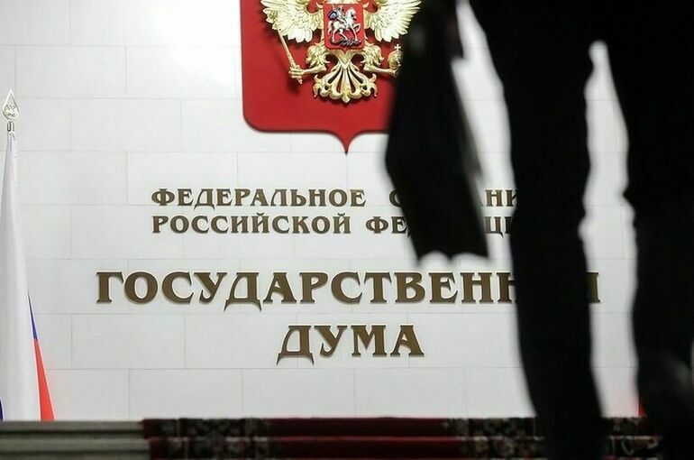 Совет Госдумы будет определять порядок выезда депутатов из России