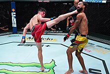 UFC Вегас 34: Игнасио Бамондес нокаутировал Рузвельта Робертса, видео
