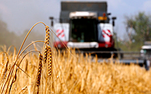 Казахстан ограничит экспорт пшеницы и муки