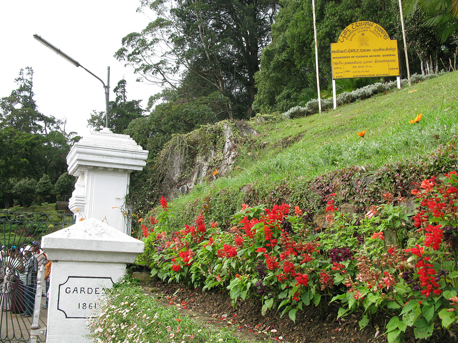 Ботанический Сад Хаггала, Шри-Ланка, Азия