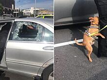 Полиция спасла песеля из раскаленной машины. 🐶 Но хозяева расстроились
