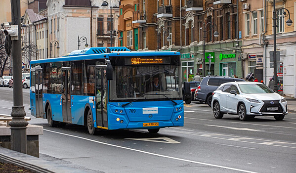 Пять плюсов выделенных полос назвали в ЦОДДе Владивостока