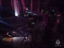 18-летняя девушка погибла в ДТП в Калужской области
