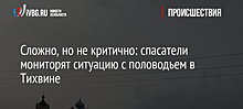 Сложно, но не критично: спасатели мониторят ситуацию с половодьем в Тихвине