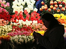 50 млн рублей потратили россияне на цветы к 8 Марта