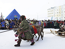 В Надыме анонсировали программу Дня оленевода на 14 и 15 февраля
