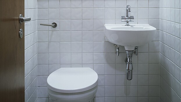 Врач Мельникова: норма частоты стула для здорового человека — не чаще двух раз в день