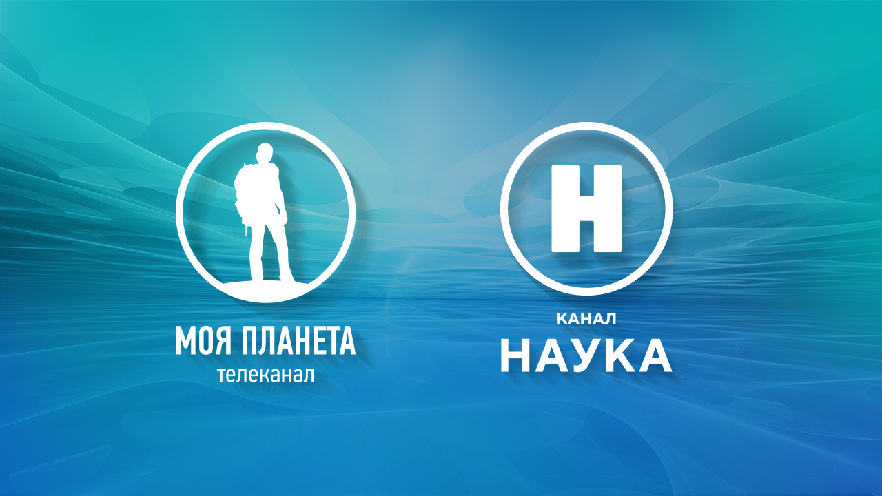 Телеканал «Наука» вошел в топ самых цитируемых отраслевых СМИ
