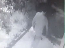 Жительницы двух районов Ростова пожаловались на нападение «маньяка»