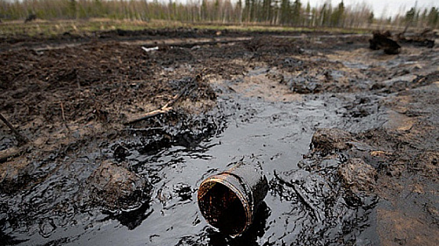 В Энгельсском районе разлилась нефть. Специалисты оценивают объем загрязнений