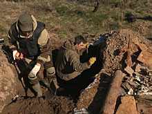 В Багратионовском районе поисковики собирают обломки штурмовика Ил-2
