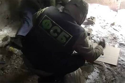 Раскрыты подробности ликвидации готовивших нападение на российских полицейских террористов