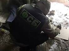 Раскрыты подробности ликвидации готовивших нападение на российских полицейских террористов