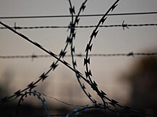 В колонии под Саратовом заключённые объявили голодовку из-за антисанитарии