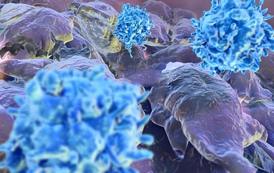 Витамин В12 усиливает противораковую терапию за счет гибели клеток