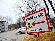Медиков Челябинской области вернут с ковидных баз