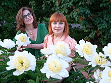 Знание, которое меняет жизнь: международная онлайн-конференция Strogoorganic