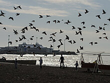 Спрос на летний отдых в Сочи в этом году вырос на 20%