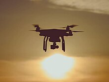 Водитель микроавтобуса погиб в результате атаки БПЛА в Брянской области