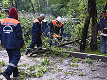 Источник: в результате урагана в Москве пострадали почти 140 человек