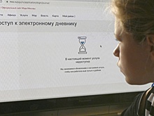 Володин назвал недопустимыми платные услуги в электронных дневниках