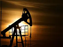 Страны ОПЕК+ проигнорировали призыв Трампа снизить цены на нефть